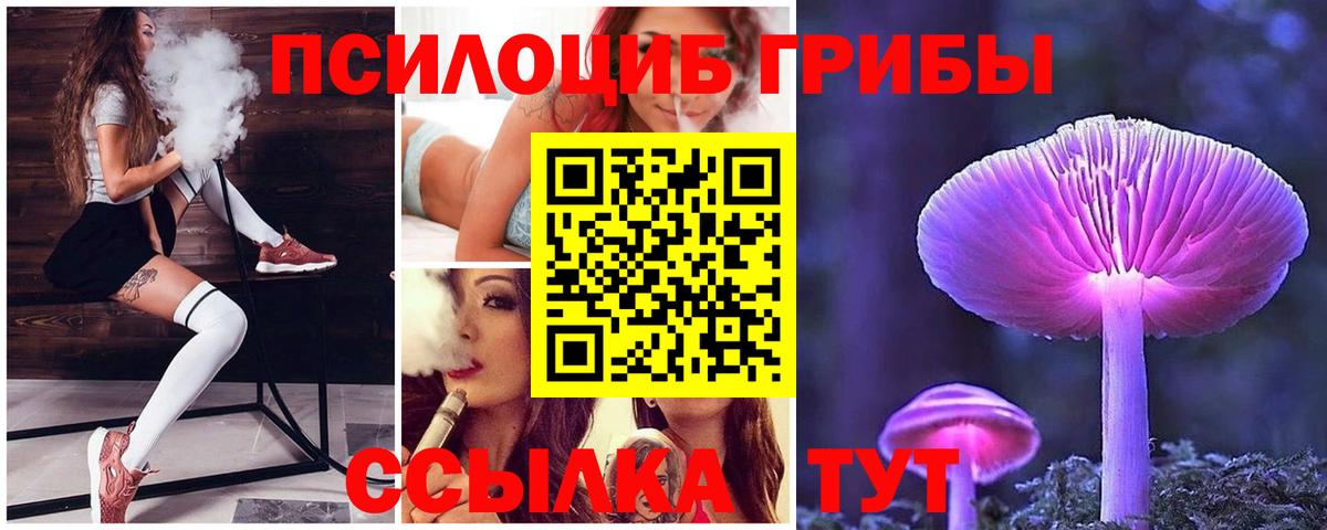 Пушкино  Псилоцибиновые грибы MAGIC MUSHROOMS  Вход с VPN 